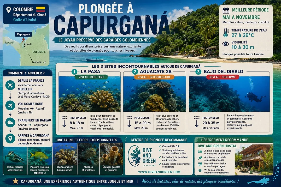 plongee-capurgana-colombie-guide-complet