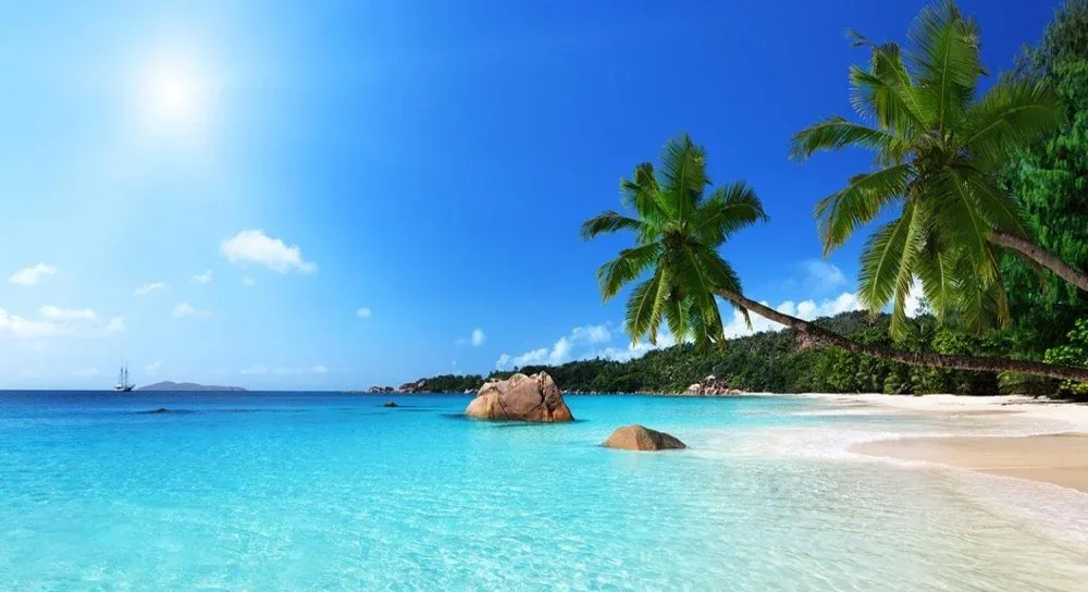 plongee-malindi-plage-kenya-ocean-indien