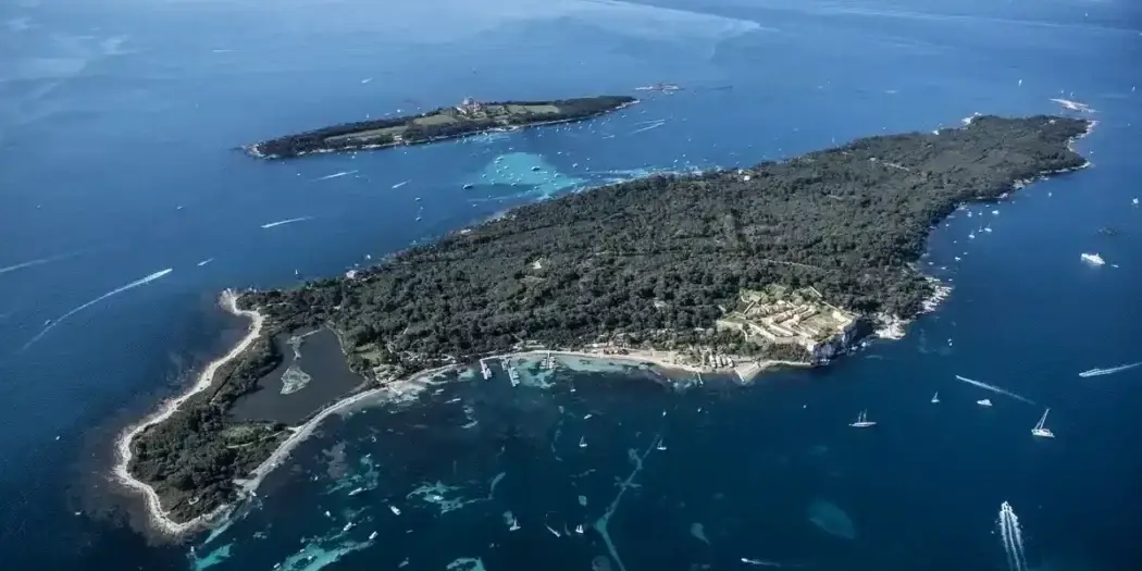 Plongée sous marine à Cannes sur un tombant rocheux en Méditerranée
