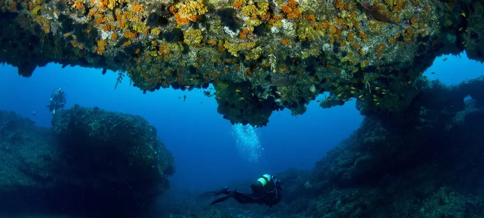 Plongeurs explorant une arche rocheuse colorée à Protea Banks, Afrique du Sud