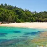 Plage de Shelly Beach en Afrique du Sud, sable doré, eau turquoise et végétation dense en arrière-plan