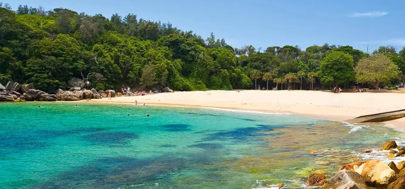 Plage de Shelly Beach en Afrique du Sud, sable doré, eau turquoise et végétation dense en arrière-plan
