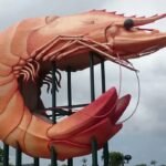 La Big Prawn à Exmouth, symbole emblématique près du Ningaloo Reef