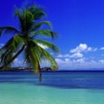 Bord de l'eau turquoise sur une plage de Crown Point à Tobago