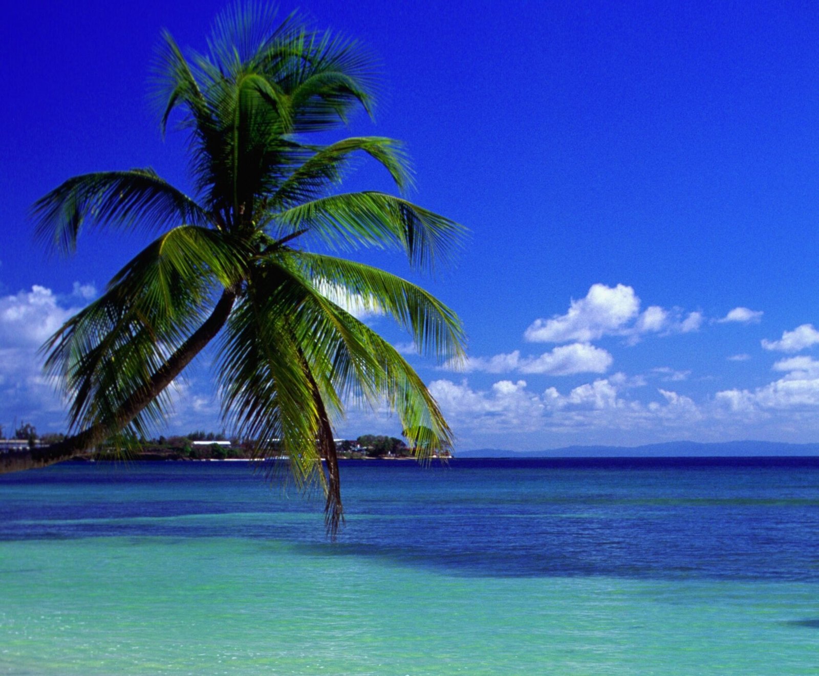 Bord de l'eau turquoise sur une plage de Crown Point à Tobago