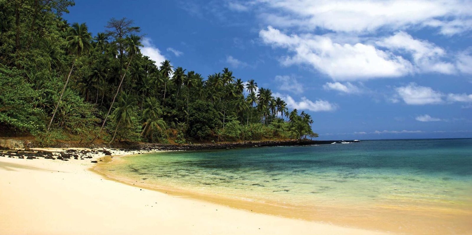 Plage tropicale à São Tomé avec sable clair, palmiers et eau turquoise sous un ciel bleu
