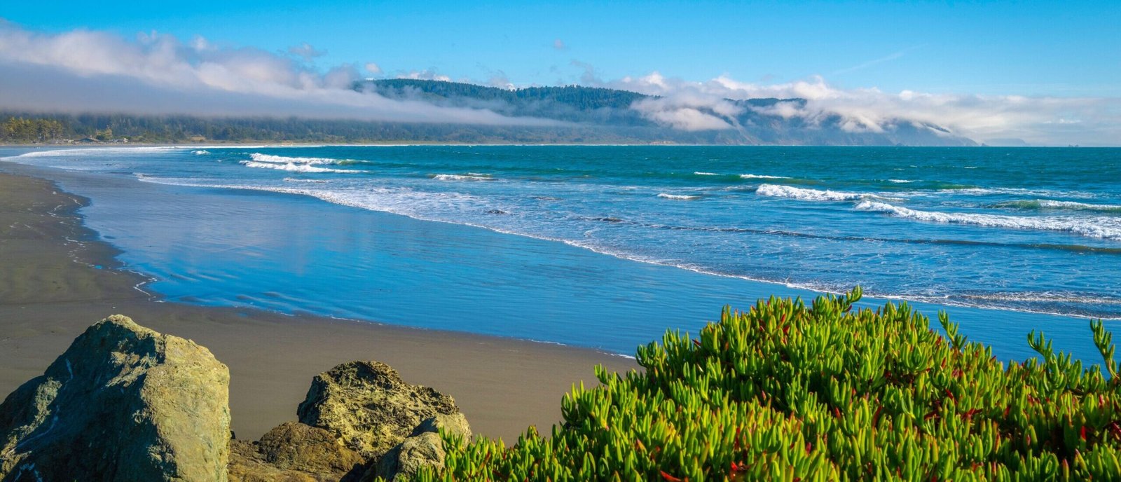 Plage sauvage de Crescent City en Californie avec vagues, sable et côte brumeuse idéale pour la plongée