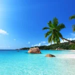 Plage tropicale à Malindi au Kenya sur l'océan Indien, destination voyage et plongée