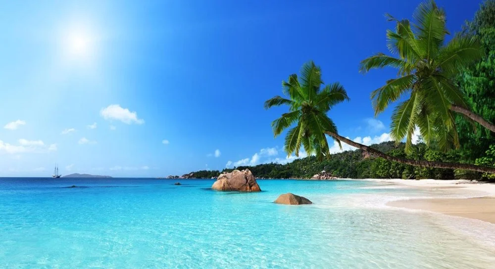 Plage tropicale à Malindi au Kenya sur l'océan Indien, destination voyage et plongée
