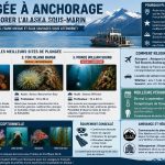 Plongée à Anchorage en Alaska : guide des meilleurs sites de plongée, profondeurs, température de l'eau, faune marine et conseils pratiques pour préparer son séjour.