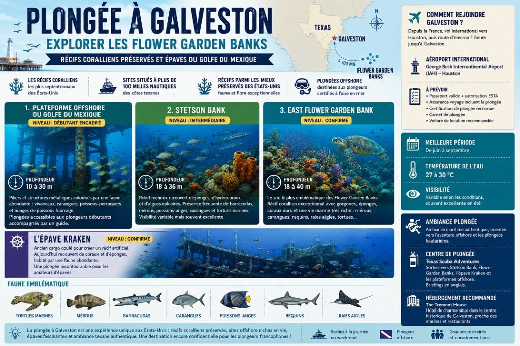 Infographie sur la plongée à Galveston présentant les Flower Garden Banks, Stetson Bank, l'épave Kraken, les profondeurs des sites, la température de l'eau, la meilleure période et la faune emblématique du golfe du Mexique