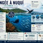 Guide complet de plongée à Nuquí en Colombie avec les sites Piedra Bonita, Piedra de Fidel et La Parguera, profondeurs, faune marine, saison des baleines à bosse, requin-baleine et informations pratiques