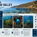Infographie sur la plongée à Second Valley en Australie-Méridionale avec les meilleurs sites, la période idéale, les profondeurs et les informations pratiques