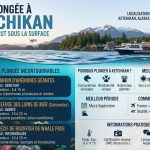 Infographie complète sur la plongée à Ketchikan, Alaska. Comprend un titre principal, un sous-titre, une carte de localisation, et trois sections principales : '3 sites de plongée incontournables' (Le Jardin d'anémones géantes, Le Refuge des lions de mer, Le Récif de Rockfish), 'Pourquoi plonger à Ketchikan?', 'Meilleur période', 'Comment y aller?', et 'Informations pratiques' avec icônes. Illustrée par une scène de côte et de forêt d'Alaska et des vues sous-marines.